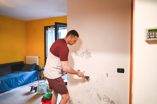Best Basement Mold Remediation in Rocky Mount, VA